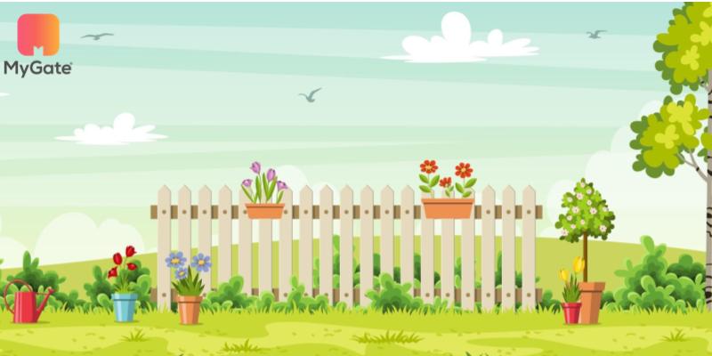 Tips for bird-friendly gardening in your home/apartment - MyGate