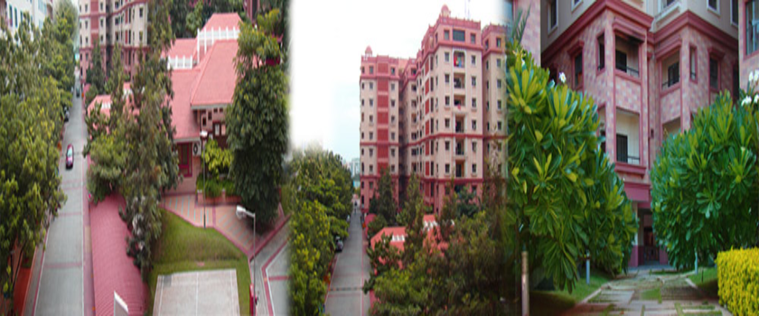 My Home Navadweepa- HiTech City