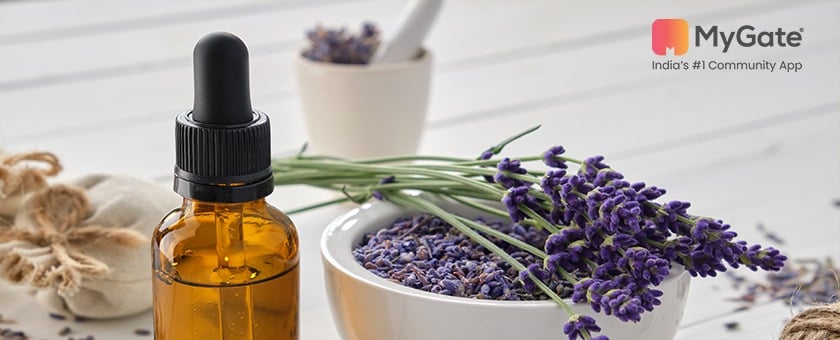 Lavender Oil for Hair- How to Use, Benefits & Side Effects - MyGate
