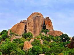 Ramanagara Ramadevarabetta Vulture Sanctuary