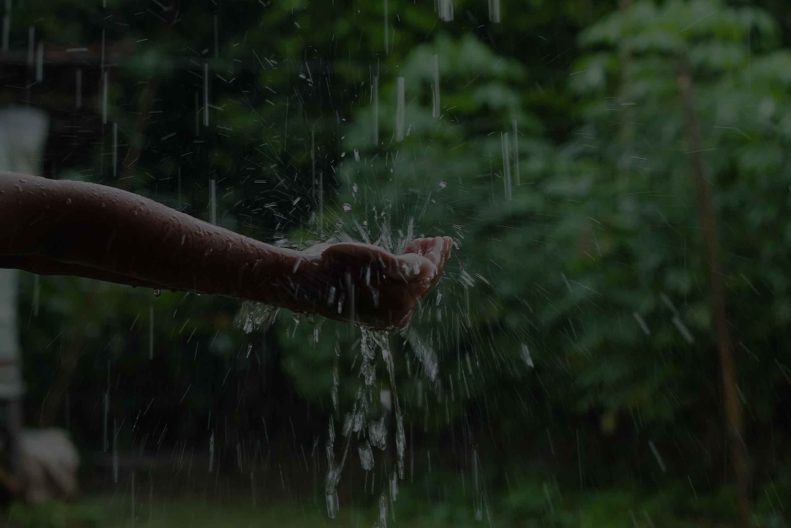 BMC guidelines for rainwater harvesting setup