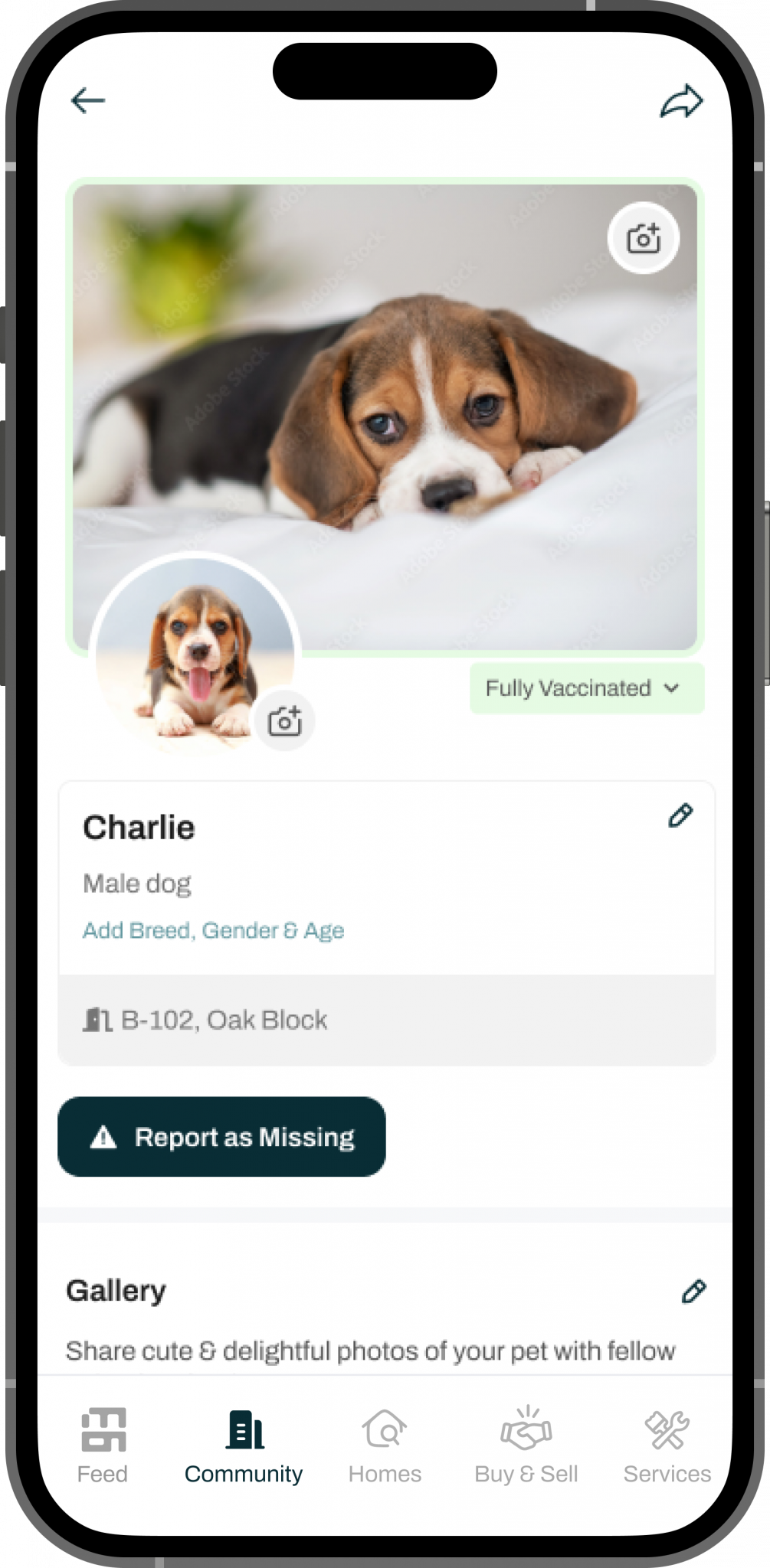 pet profile