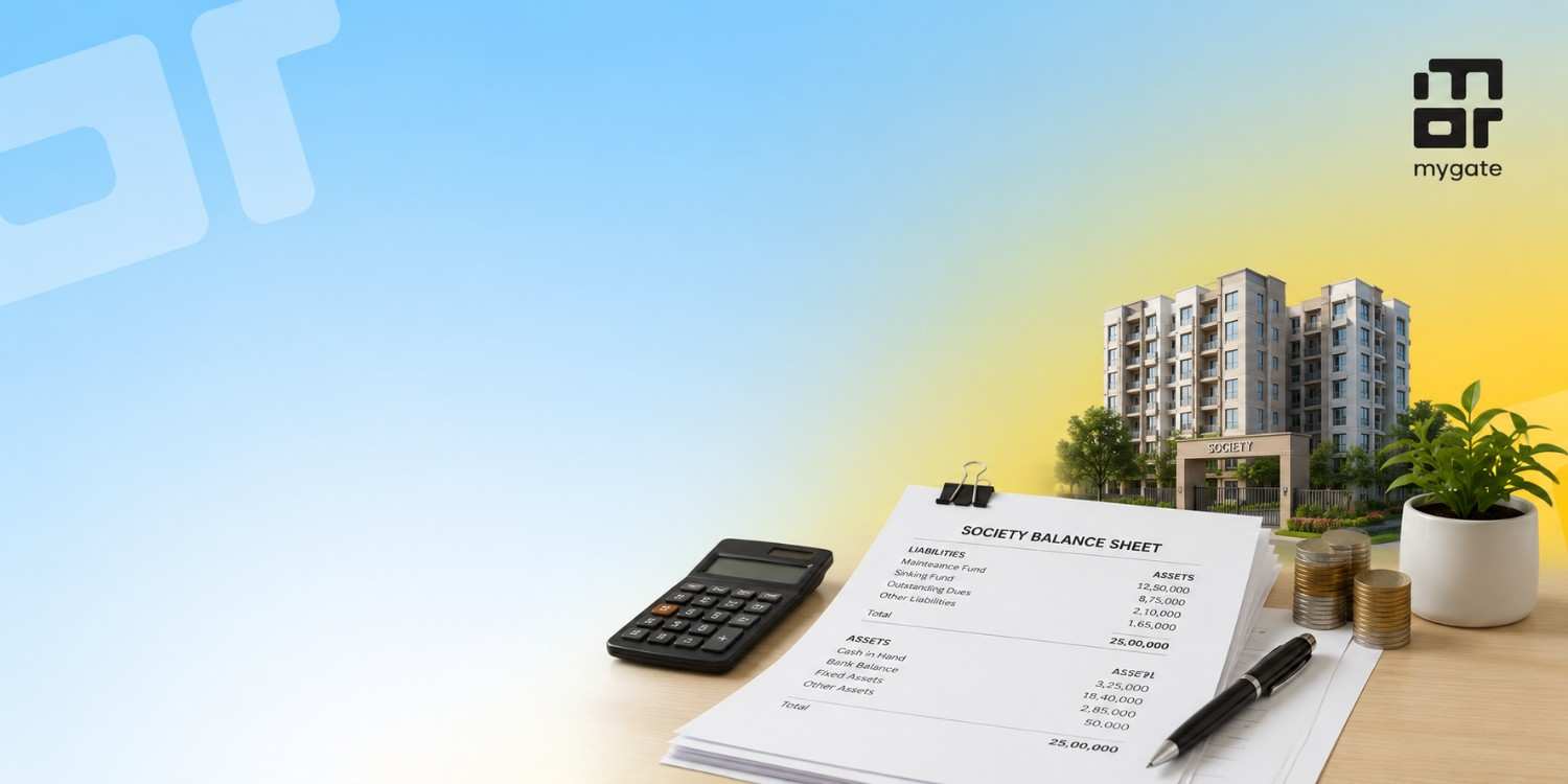 society balance sheet